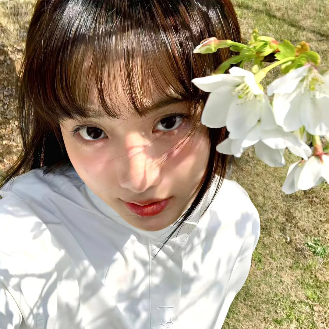 狼和羊